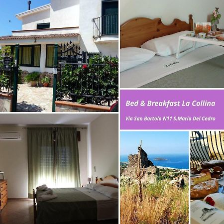 Bed and Breakfast La Collina Санта-Марія-дель-Чедро Екстер'єр фото